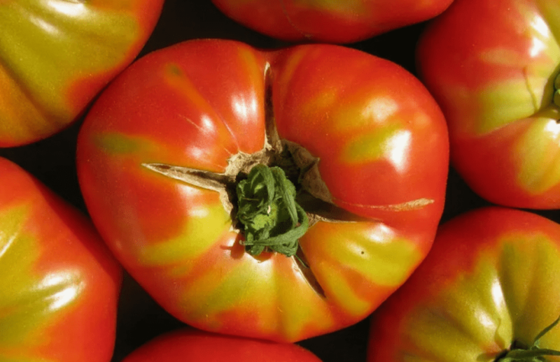 Юсуповские помидоры (Узбекские): описание сорта, фото, отзывы