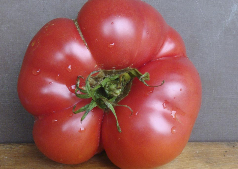 Юсуповские помидоры (Узбекские): описание сорта, фото, отзывы