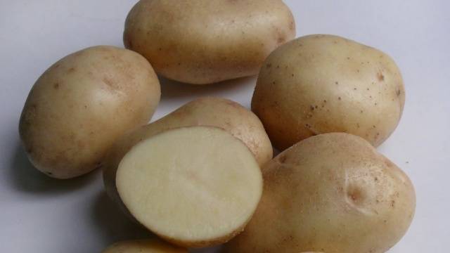 Голландские сорта картофеля