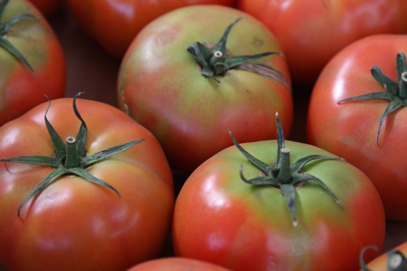 Почему желтые плечики у томатов при созревании: причины, лечение